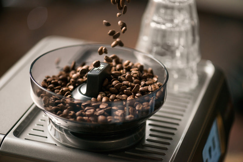 Sage Smart Grinder Pro - Mistral Coffee