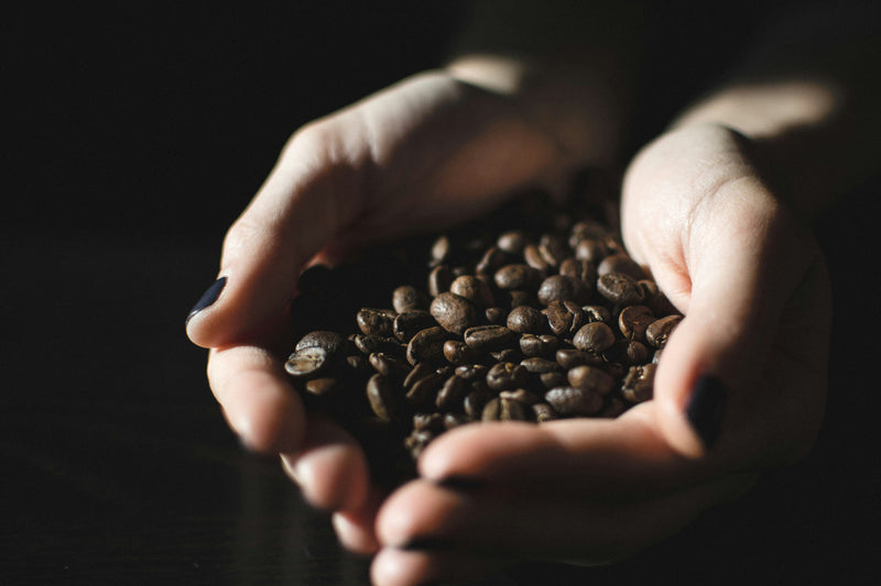 From Bean to Brew: The Mistral Coffee Experience