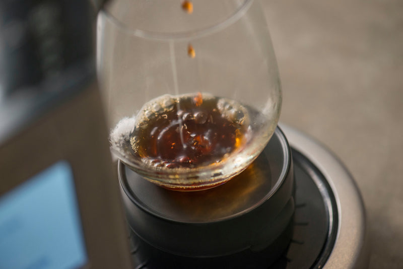 Sage Precision Brewer Thermal - Cafetera de Goteo – ONYVA COFFEE